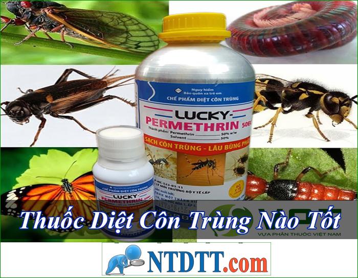 thuoc diet con trung nao tot re nhat hien nay ntdtt com