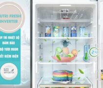 Review tủ lạnh Electrolux ESE6201BG liệu có tốt không và hướng dẫn dùng chi tiết