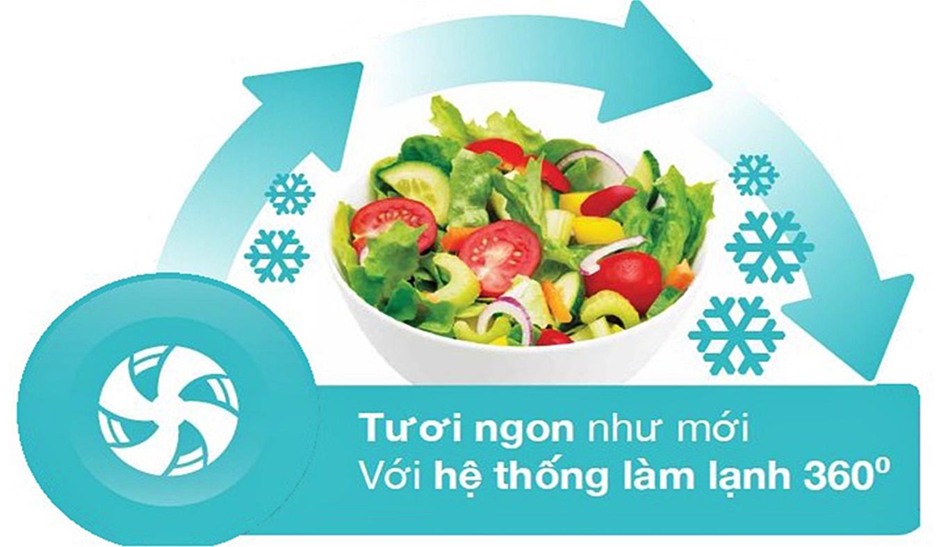 Tủ lạnh Inverter EHE5220AA có thể giữ thực phẩm tươi ngon sau 7 ngày